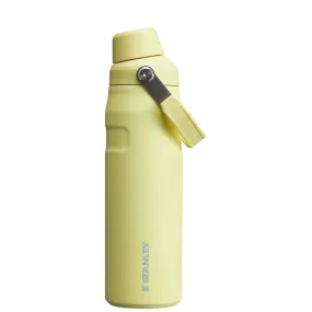 24oz Iceflow™ Bottle with Fast Flow Lid in Pomelo